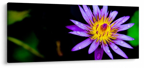 Virágos kép (120x50 cm)