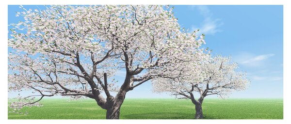 Fa képe (120x50 cm)