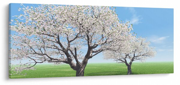 Fa képe (120x50 cm)