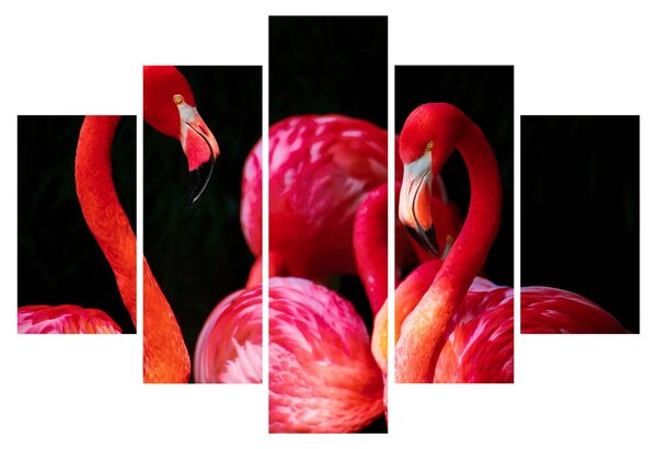 Vörös flamingók képe (150x105 cm)