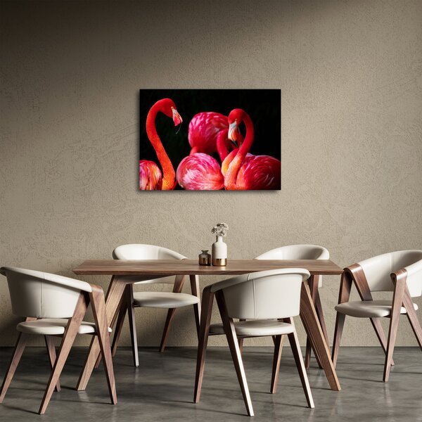 Vörös flamingók képe (70x50 cm)