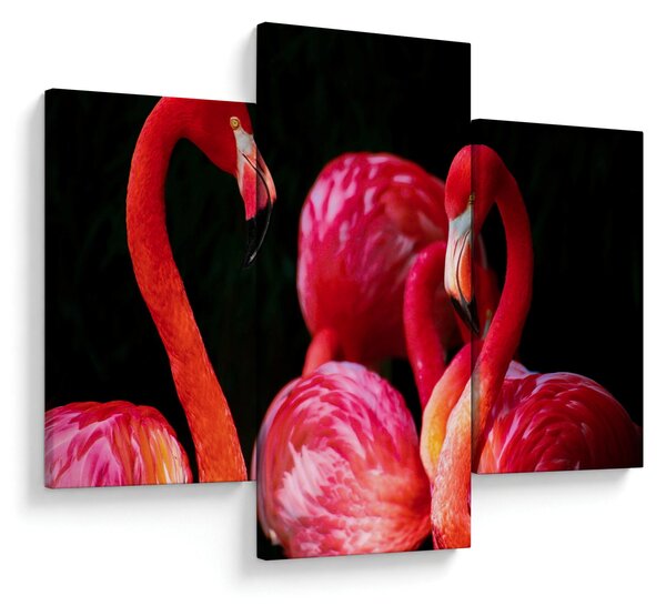 Vörös flamingók képe (90x60 cm)