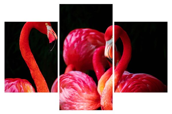 Vörös flamingók képe (90x60 cm)