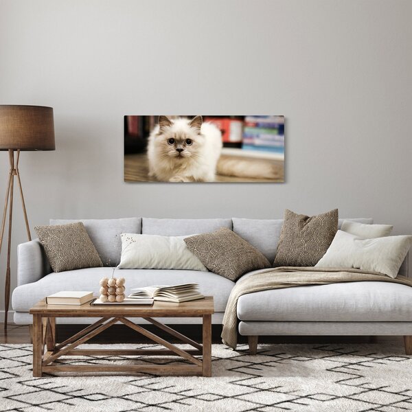 Fehér macska képe (120x50 cm)