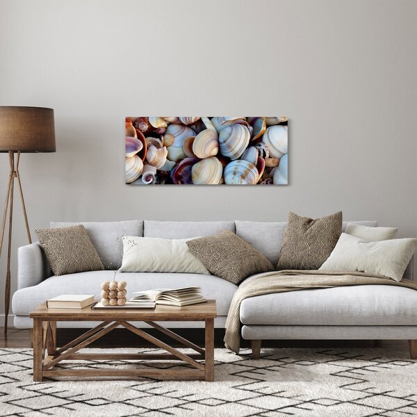 Kagyló képe (120x50 cm)
