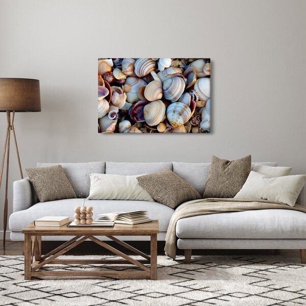 Kagyló képe (90x60 cm)