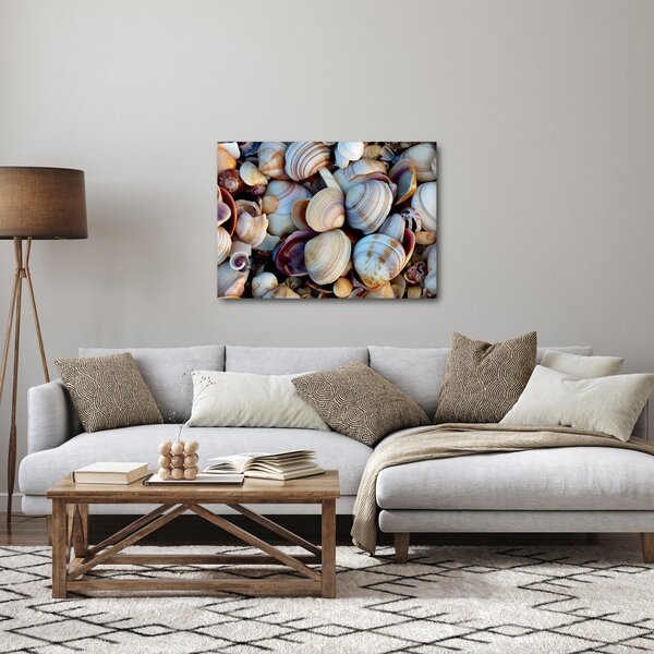 Kagyló képe (70x50 cm)