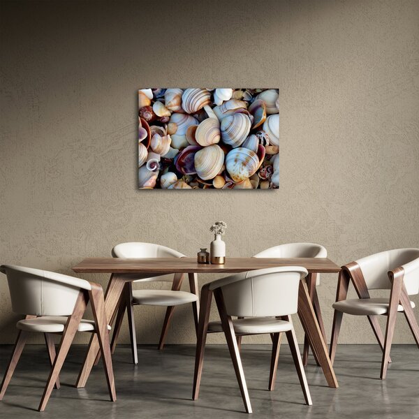 Kagyló képe (70x50 cm)