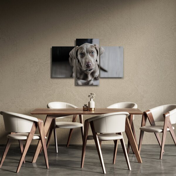 Kiskutya képe (90x60 cm)