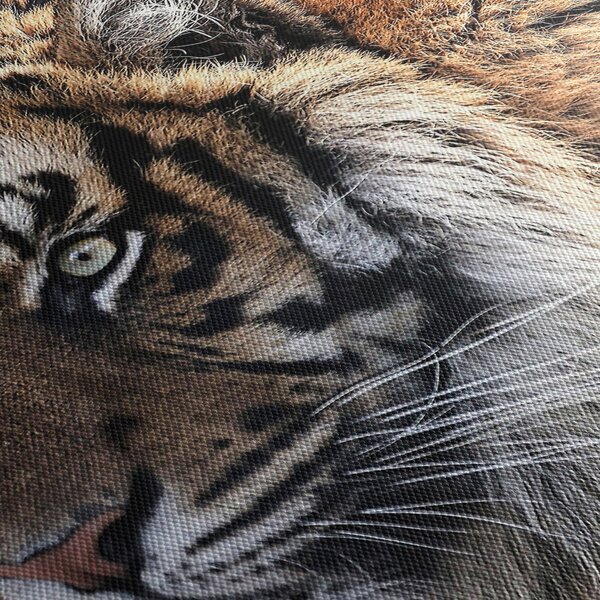 Tigris képe (órával) (90x30 cm)