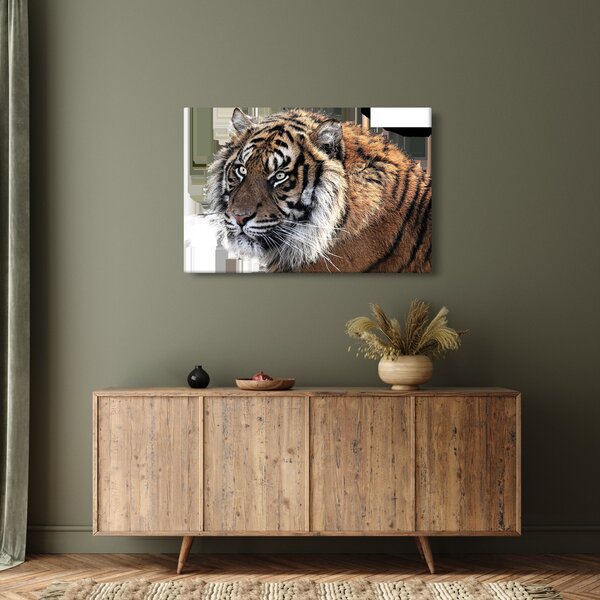 Tigris képe (90x60 cm)