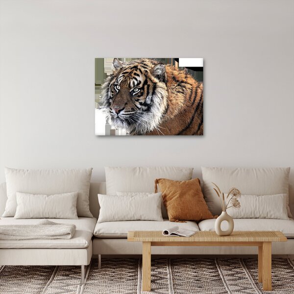 Tigris képe (70x50 cm)