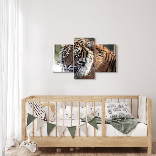 Tigris képe (90x60 cm)