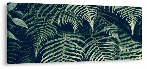 A páfrány levelek képe (120x50 cm)