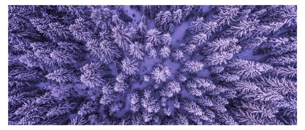 Havas fák képe (120x50 cm)