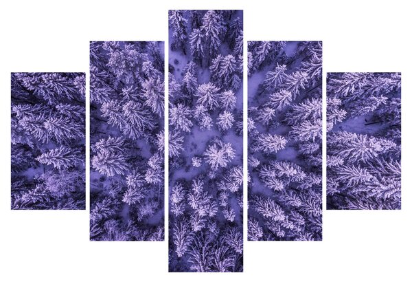 Havas fák képe (150x105 cm)