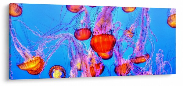 Medúza a tengerben képe (120x50 cm)