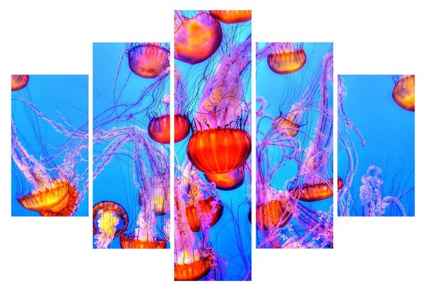 Medúza a tengerben képe (150x105 cm)