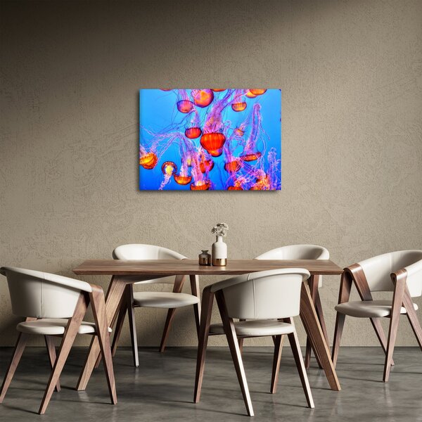 Medúza a tengerben képe (70x50 cm)