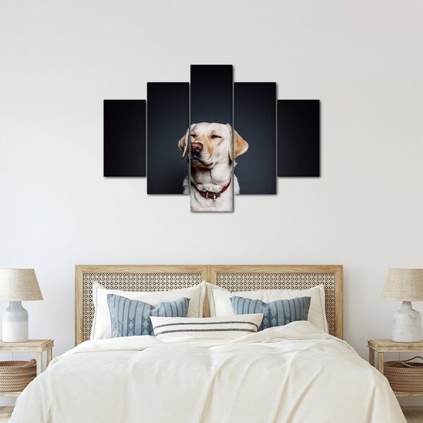 Labrador képe (150x105 cm)