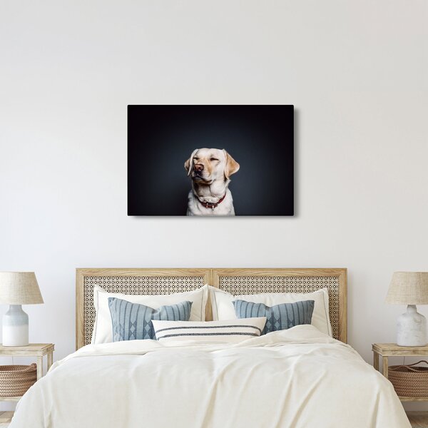 Labrador képe (90x60 cm)