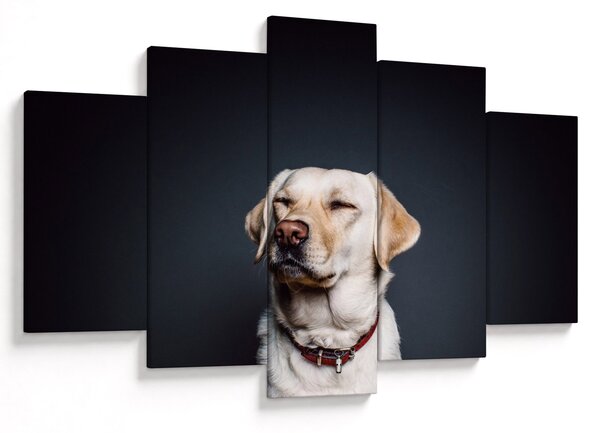 Labrador képe (150x105 cm)