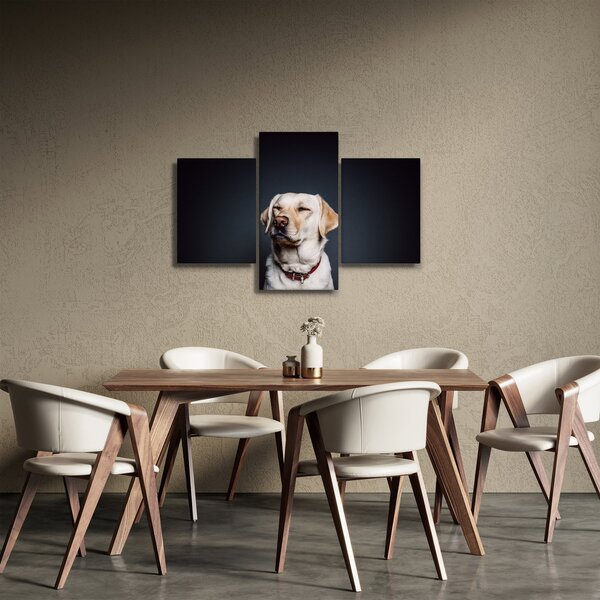 Labrador képe (90x60 cm)