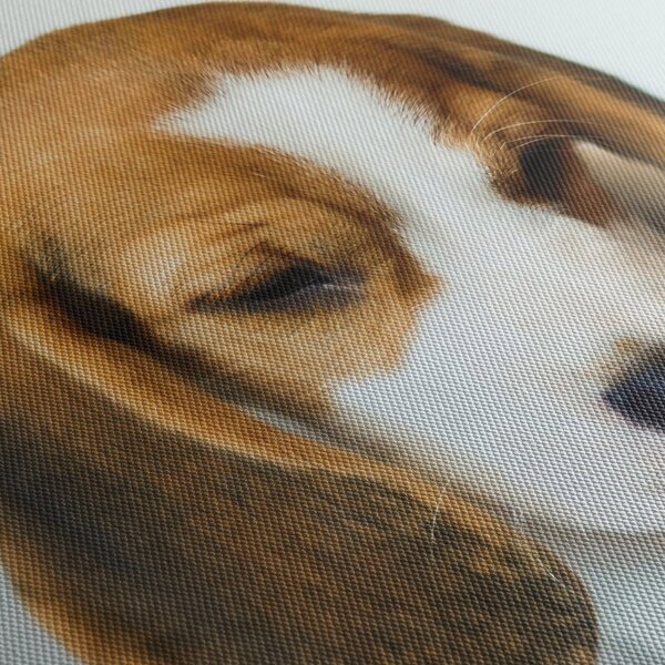 Beagle képe (90x60 cm)