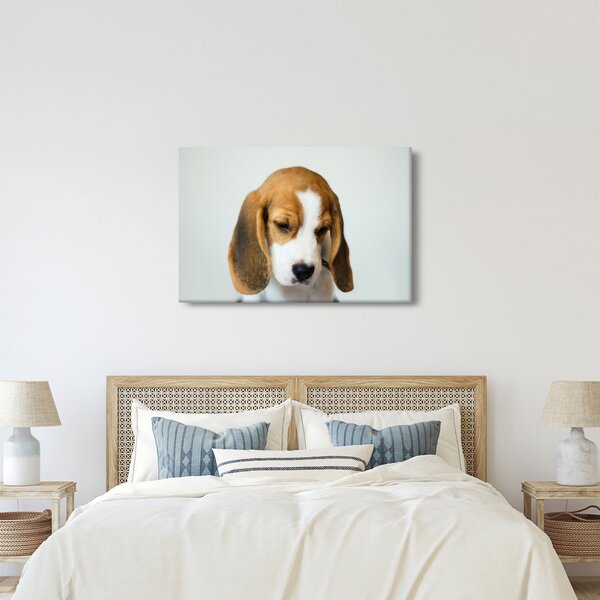Beagle képe (90x60 cm)
