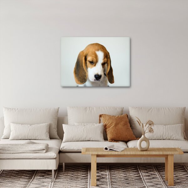 Beagle képe (70x50 cm)