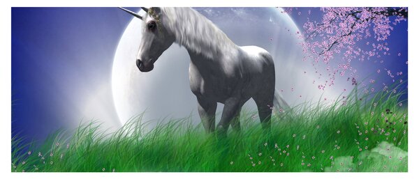 Egyszarvú képe (120x50 cm)
