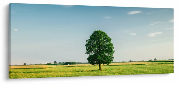 Fa képe a réten (120x50 cm)