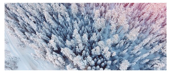 Havas fák képe (120x50 cm)