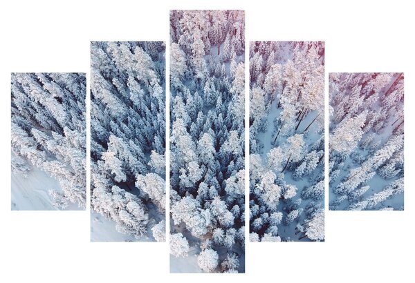 Havas fák képe (150x105 cm)