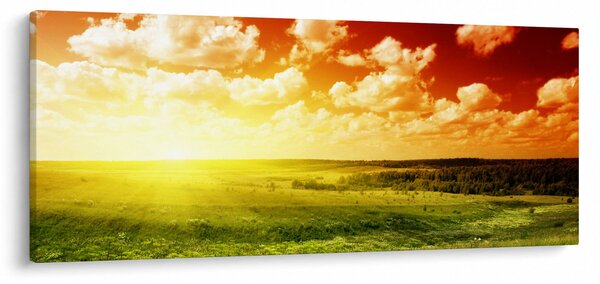 Rét képe ragyogó napfénnyel (120x50 cm)