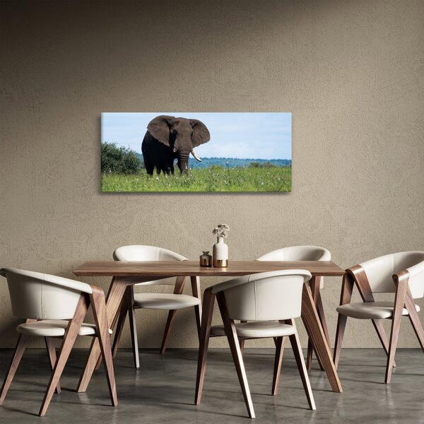 Egy elefánt képe (120x50 cm)