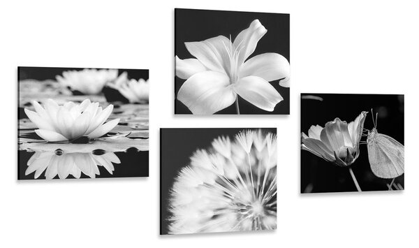 Képszett virágok pillangóval fekete-fehérben