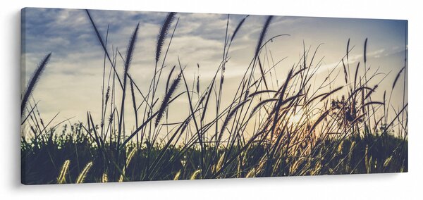 Réti virágok képe (120x50 cm)