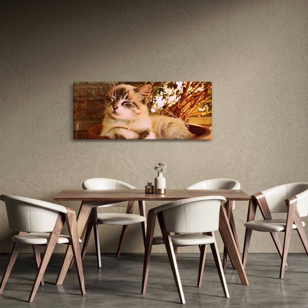 Macska a virágcserépben képe (120x50 cm)