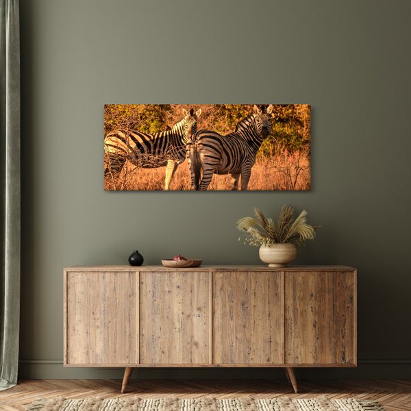 Zebrák képe (120x50 cm)