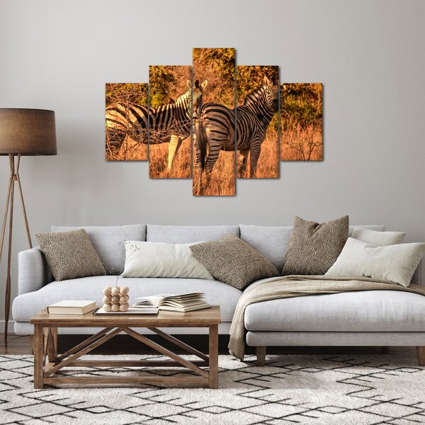 Zebrák képe (150x105 cm)