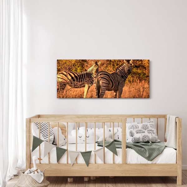 Zebrák képe (120x50 cm)