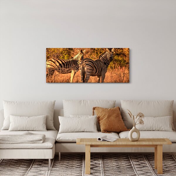 Zebrák képe (120x50 cm)