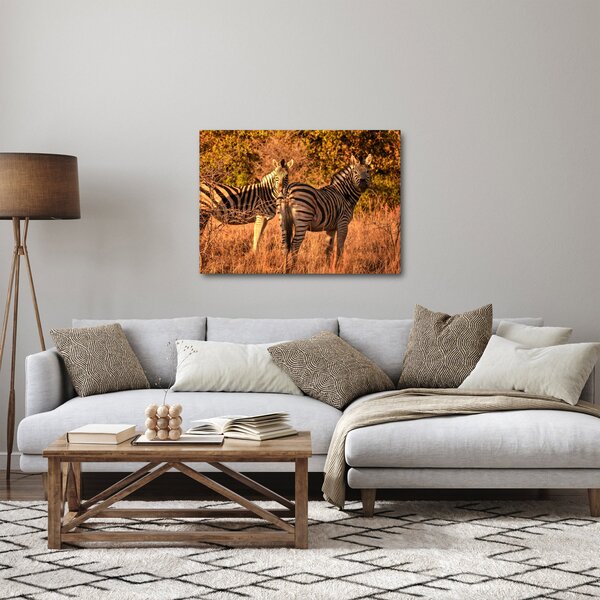 Zebrák képe (70x50 cm)