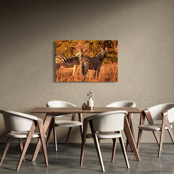 Zebrák képe (90x60 cm)