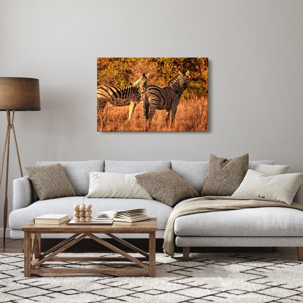 Zebrák képe (90x60 cm)
