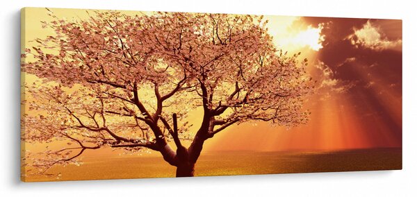 Isten sugarainak képe (120x50 cm)