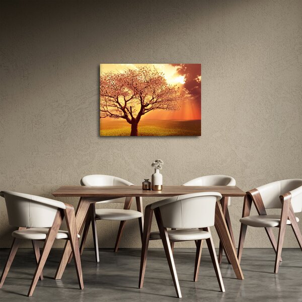 Isten sugarainak képe (70x50 cm)