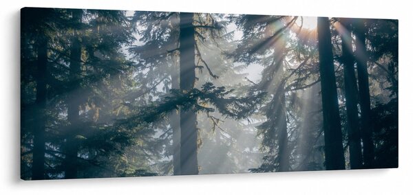 Fák képe a ragyogó nappal (120x50 cm)