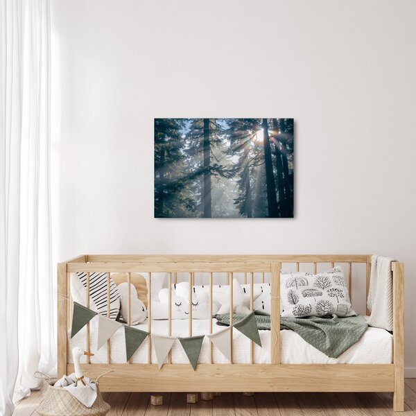 Fák képe a ragyogó nappal (70x50 cm)